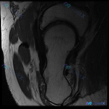 Post 21181 image 1