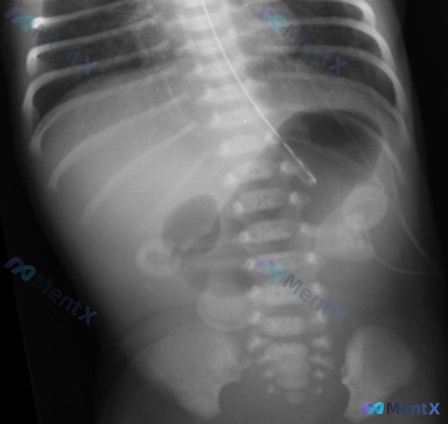 Post 2269 image 1