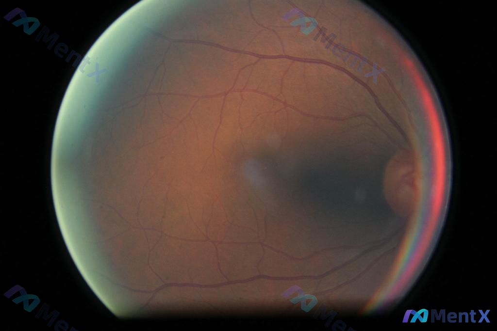 Post 2653 image 1