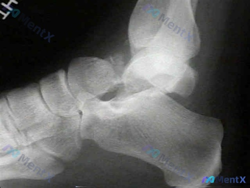 Post 591 image 1