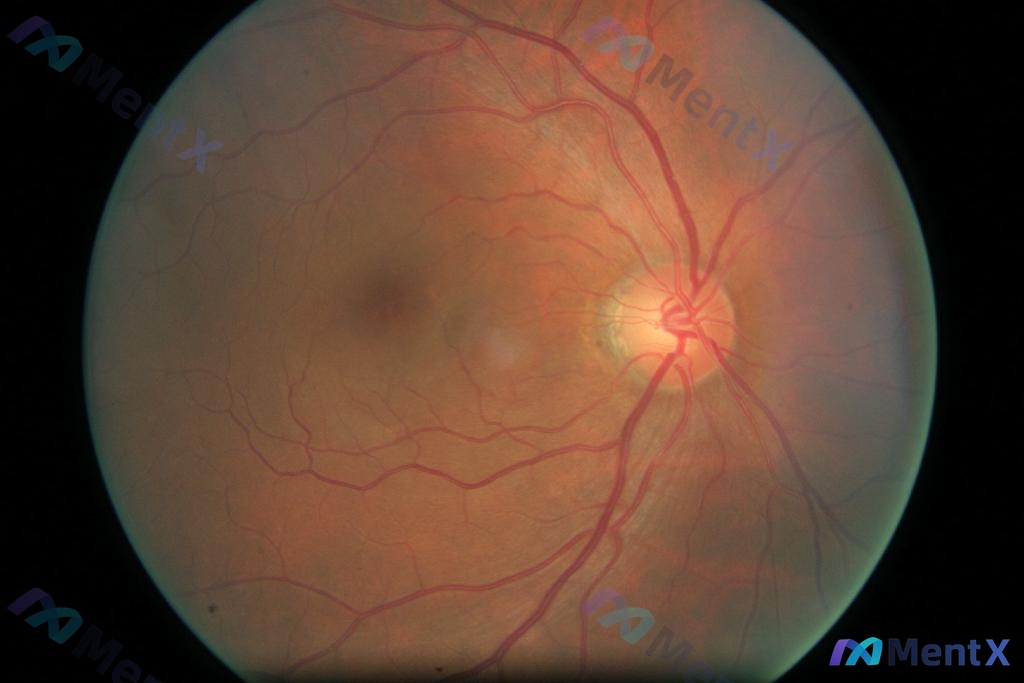 Post 181 image 1