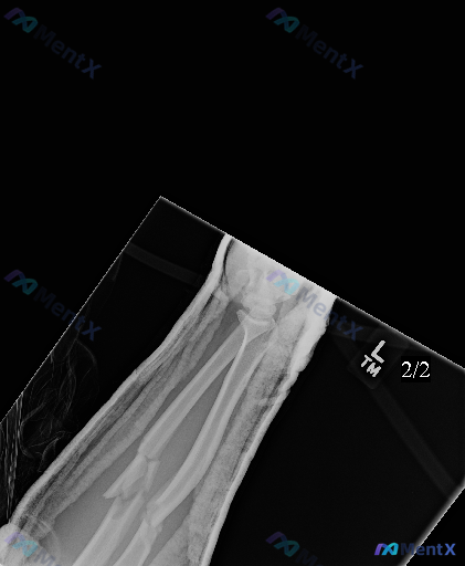 Post 5946 image 1