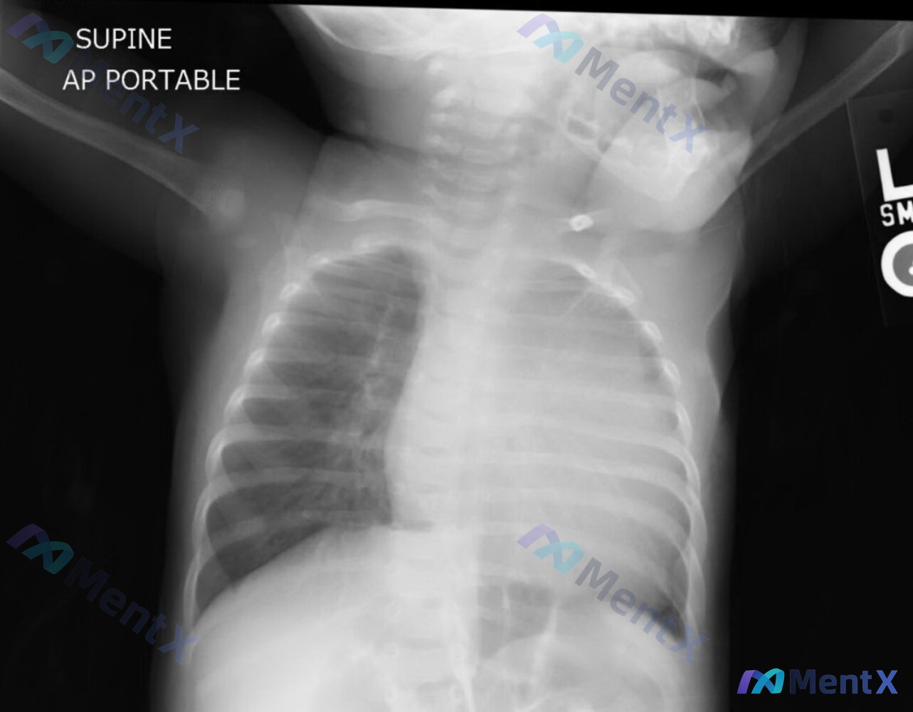 Post 1350 image 1