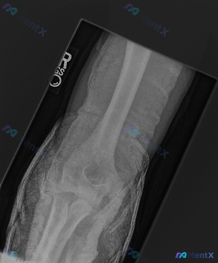 Post 4041 image 1