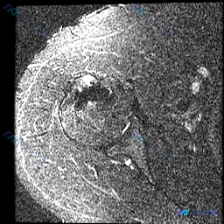 Post 21970 image 1