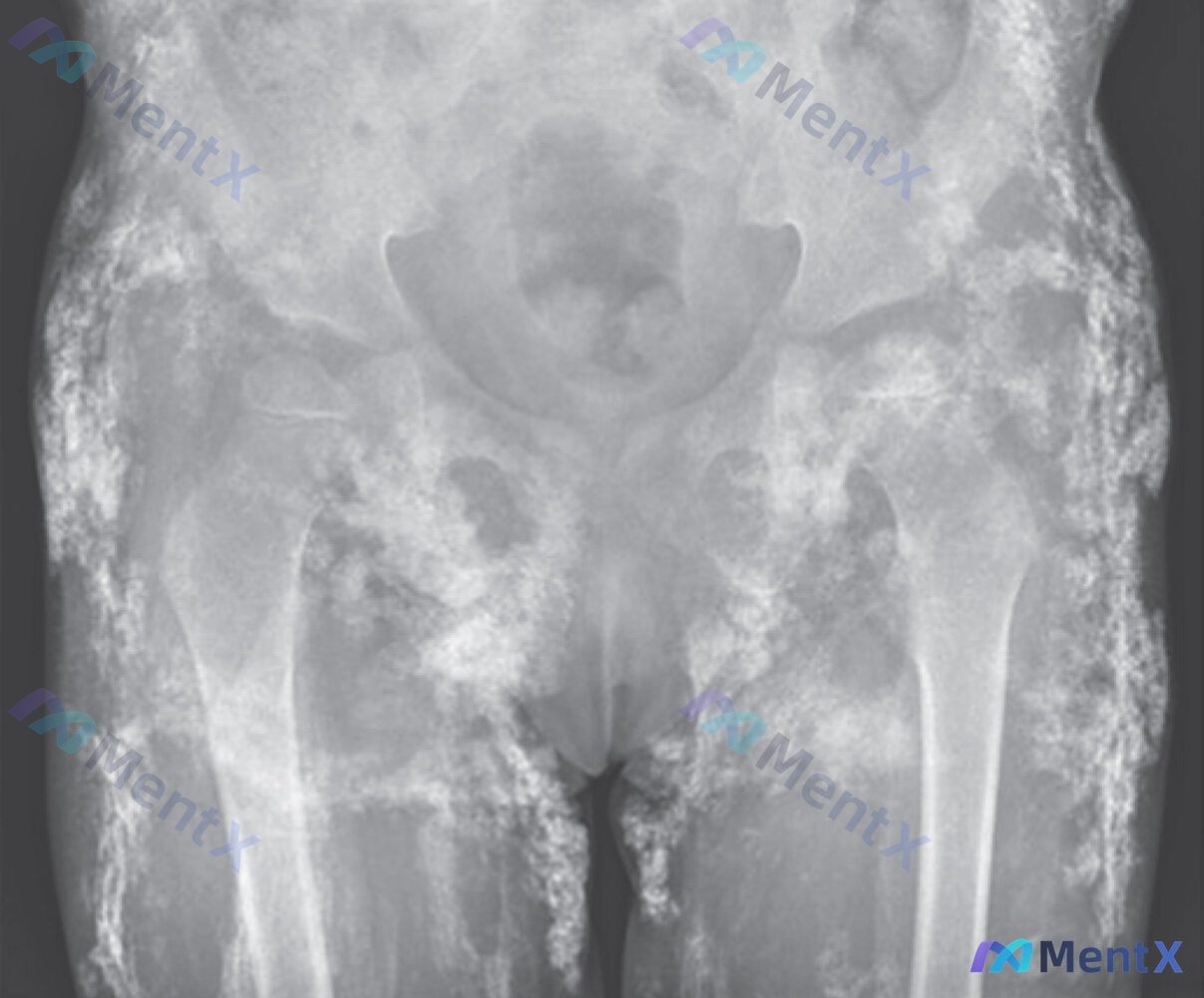 Post 2664 image 1