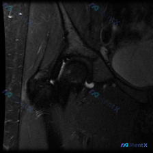 Post 23295 image 1