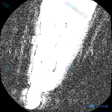 Post 39793 image 1