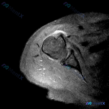 Post 28799 image 1