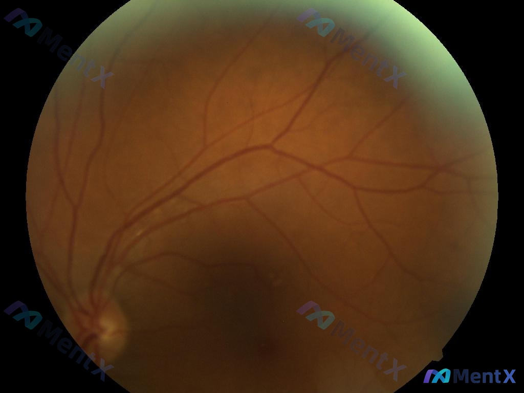 Post 2542 image 1