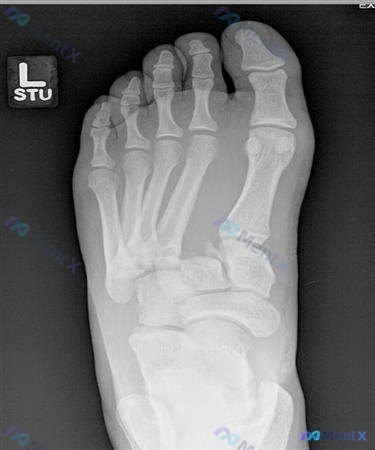 Post 267 image 1