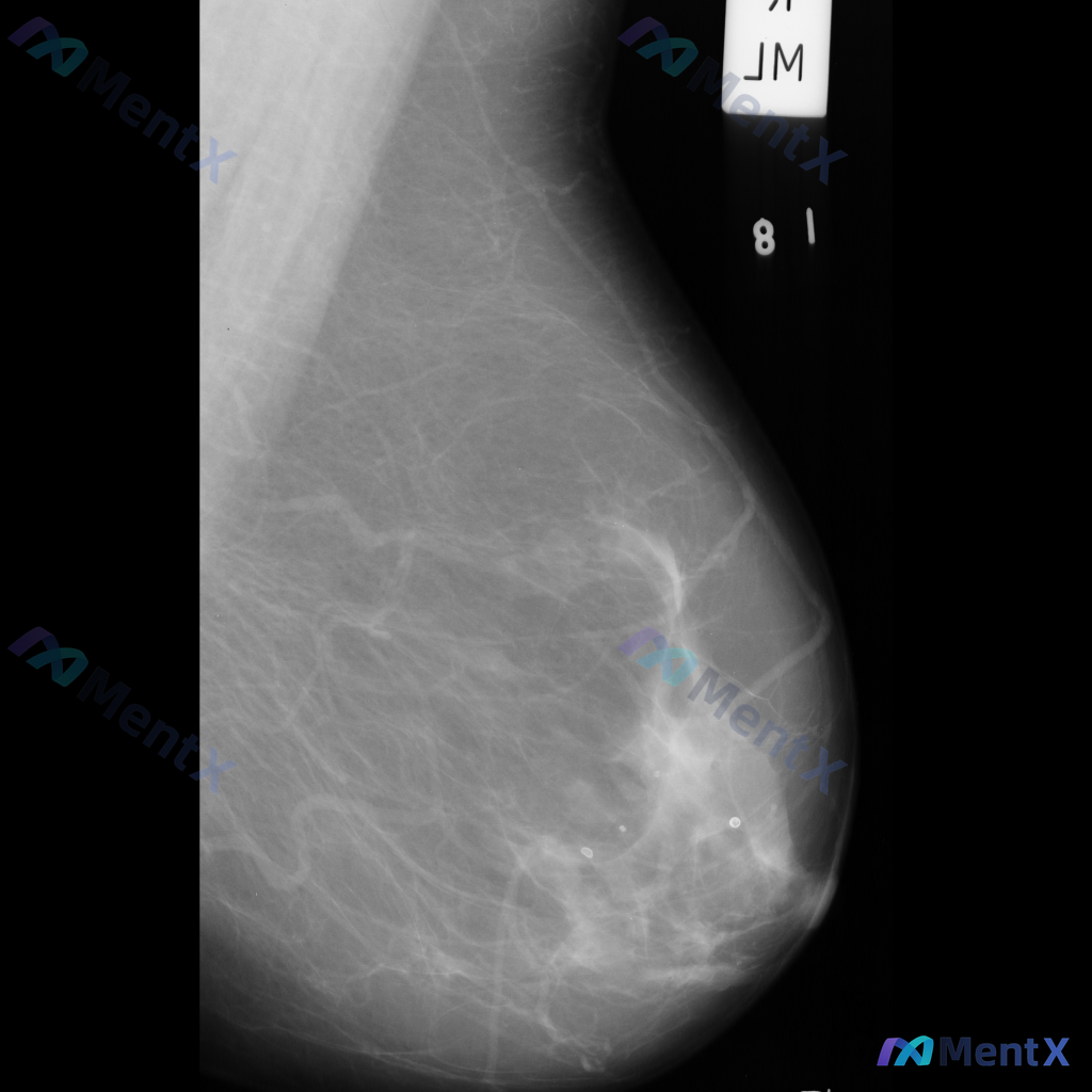 Post 5498 image 1