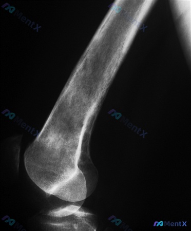 Post 2060 image 1