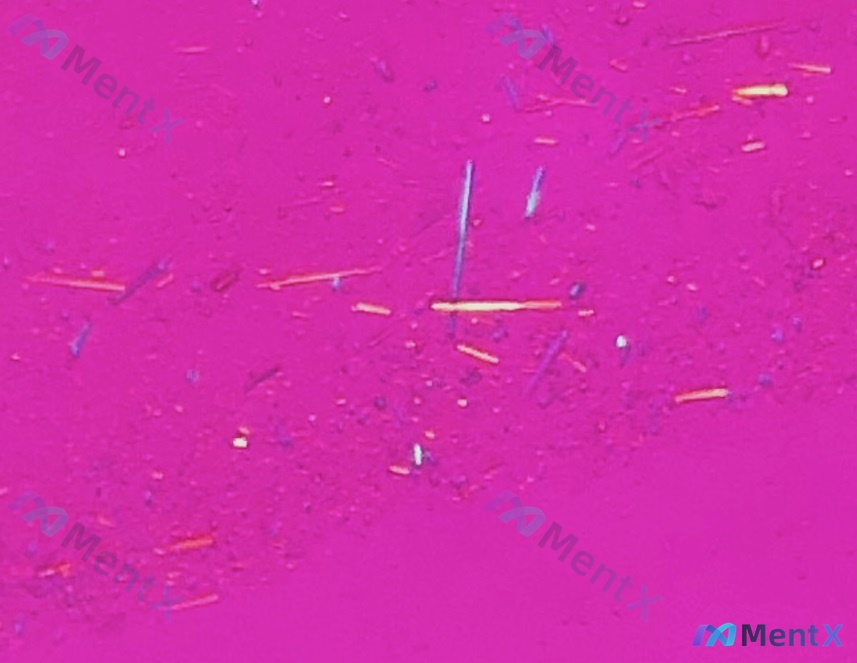 Post 2850 image 1
