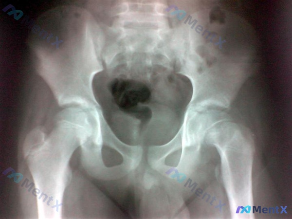 Post 219 image 1