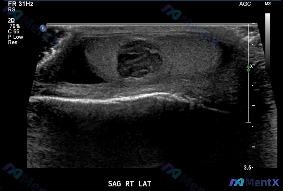 Post 652 image 2