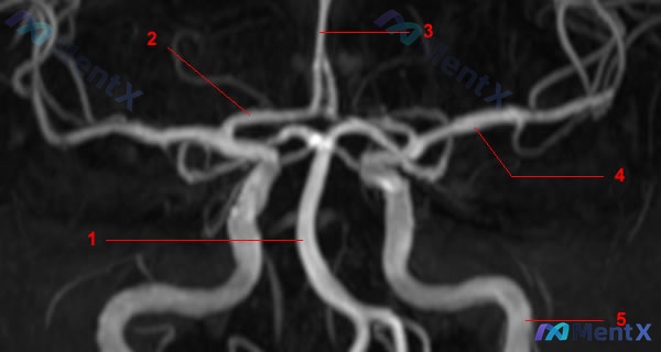 Post 2416 image 1