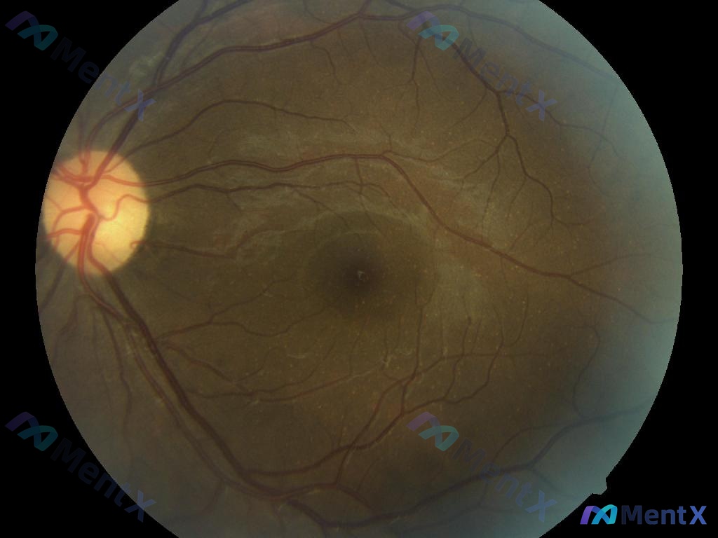 Post 247 image 1