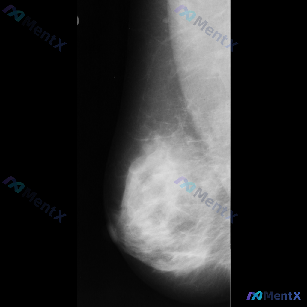 Post 3013 image 1
