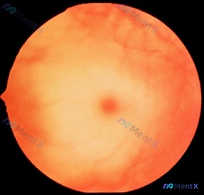 Post 195 image 1