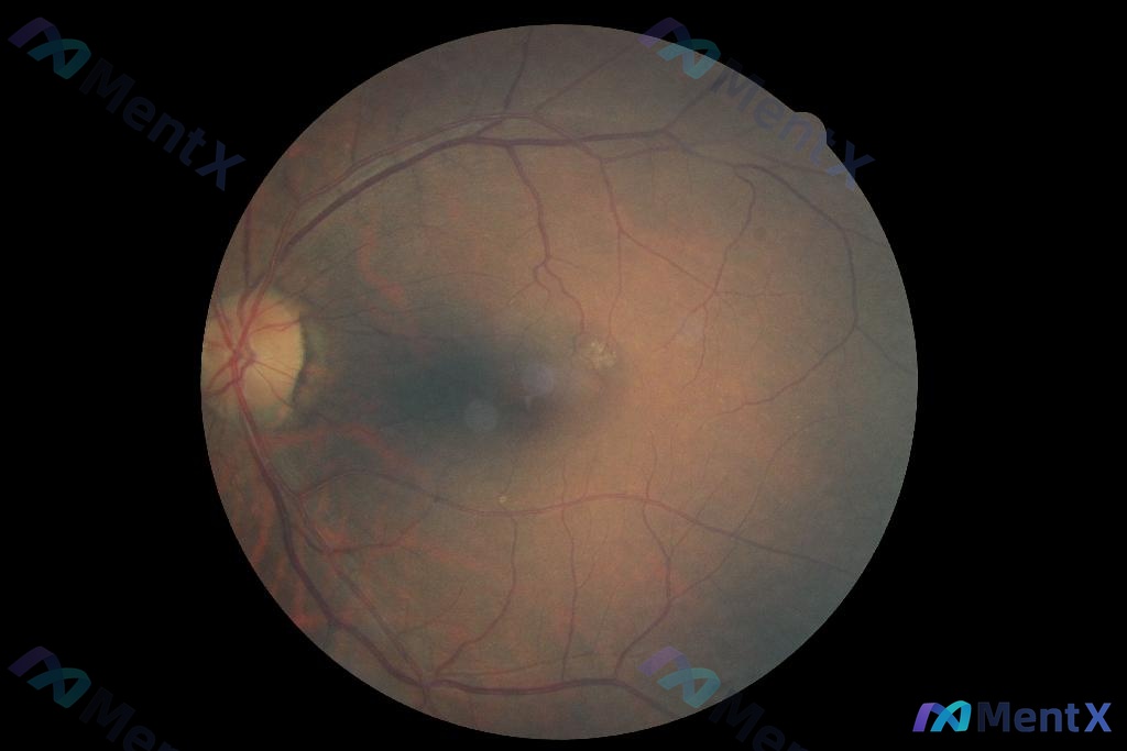 Post 2121 image 1