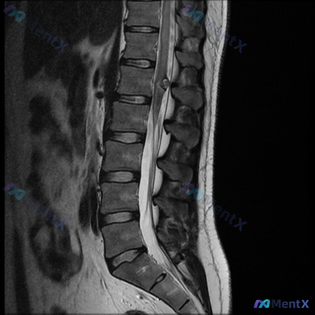 Post 463 image 1