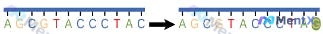 Post 1190 image 1