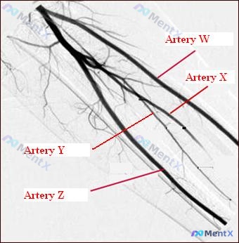 Post 2547 image 1