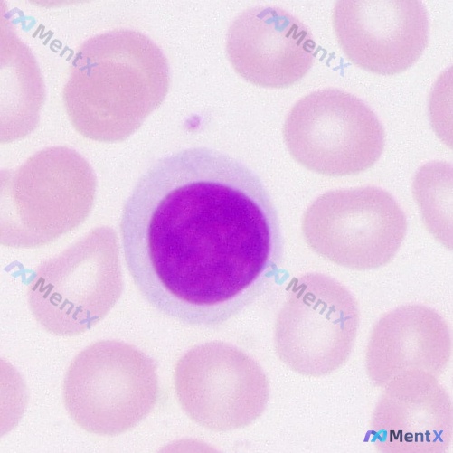 Post 114 image 3