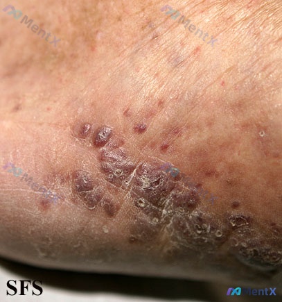 Post 3578 image 1
