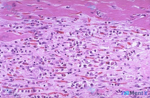 Post Image 5