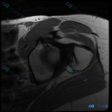 Post 19543 image 1