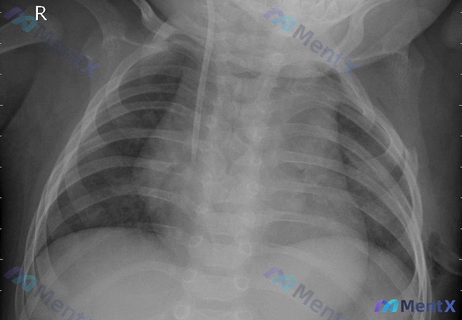 Post 2404 image 1