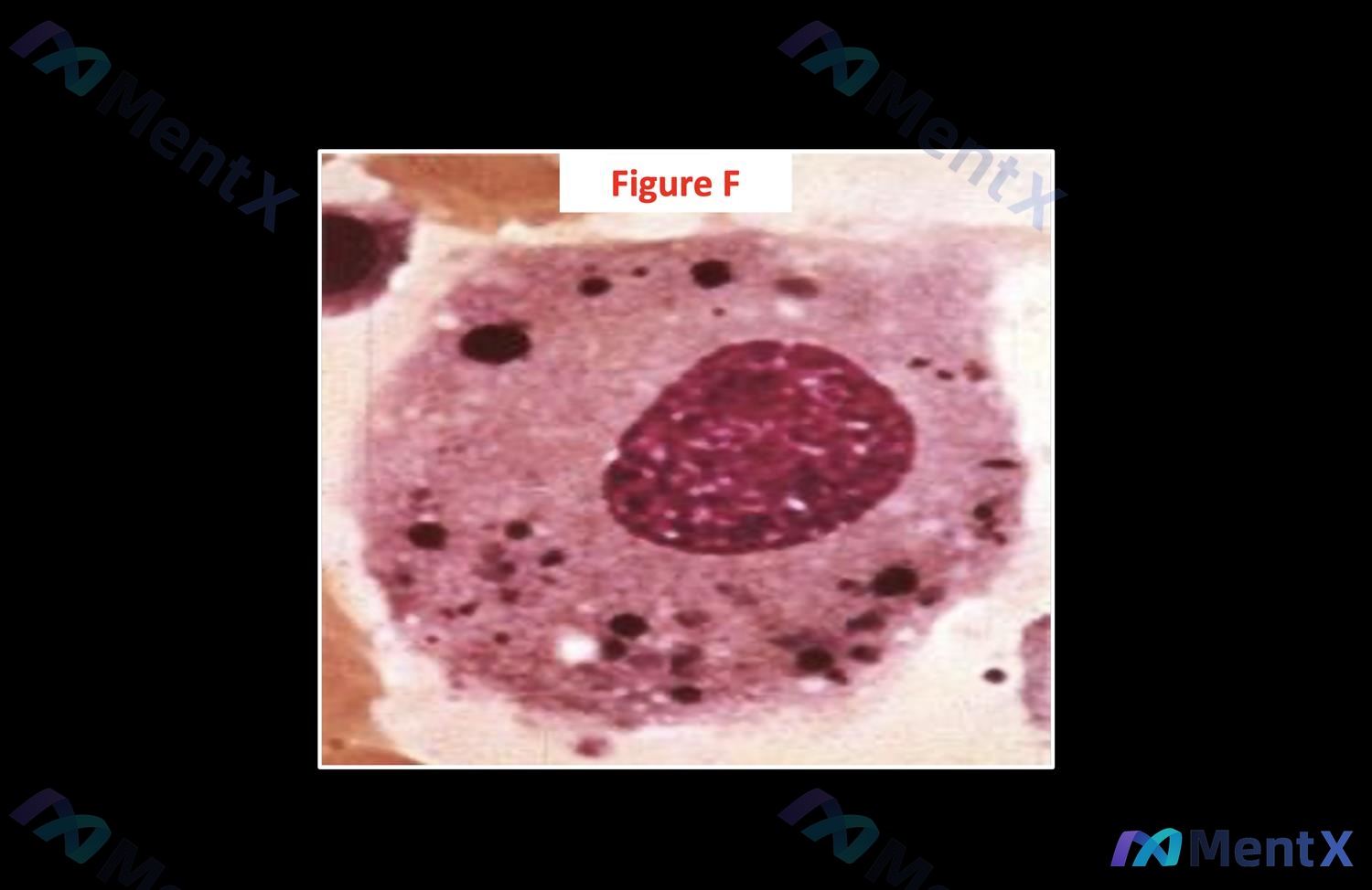 Post Image 6
