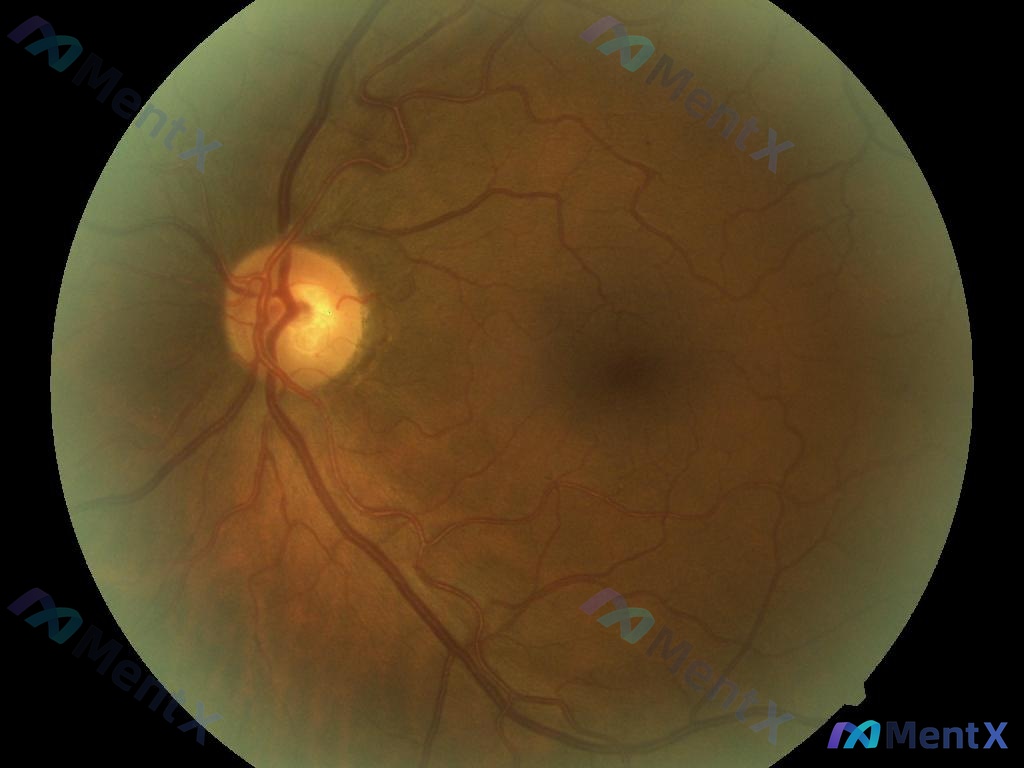 Post 2205 image 1