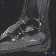 Post 37152 image 1