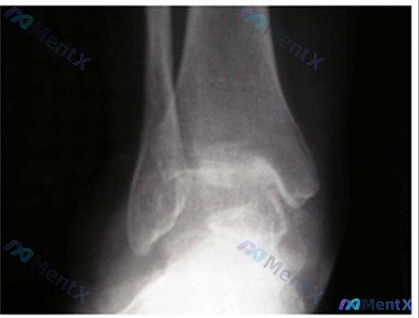 Post 2821 image 1