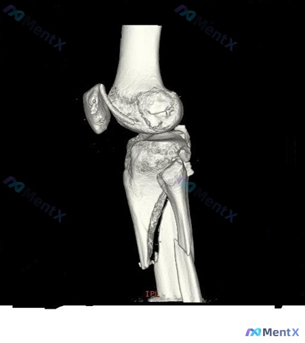Post 2443 image 1