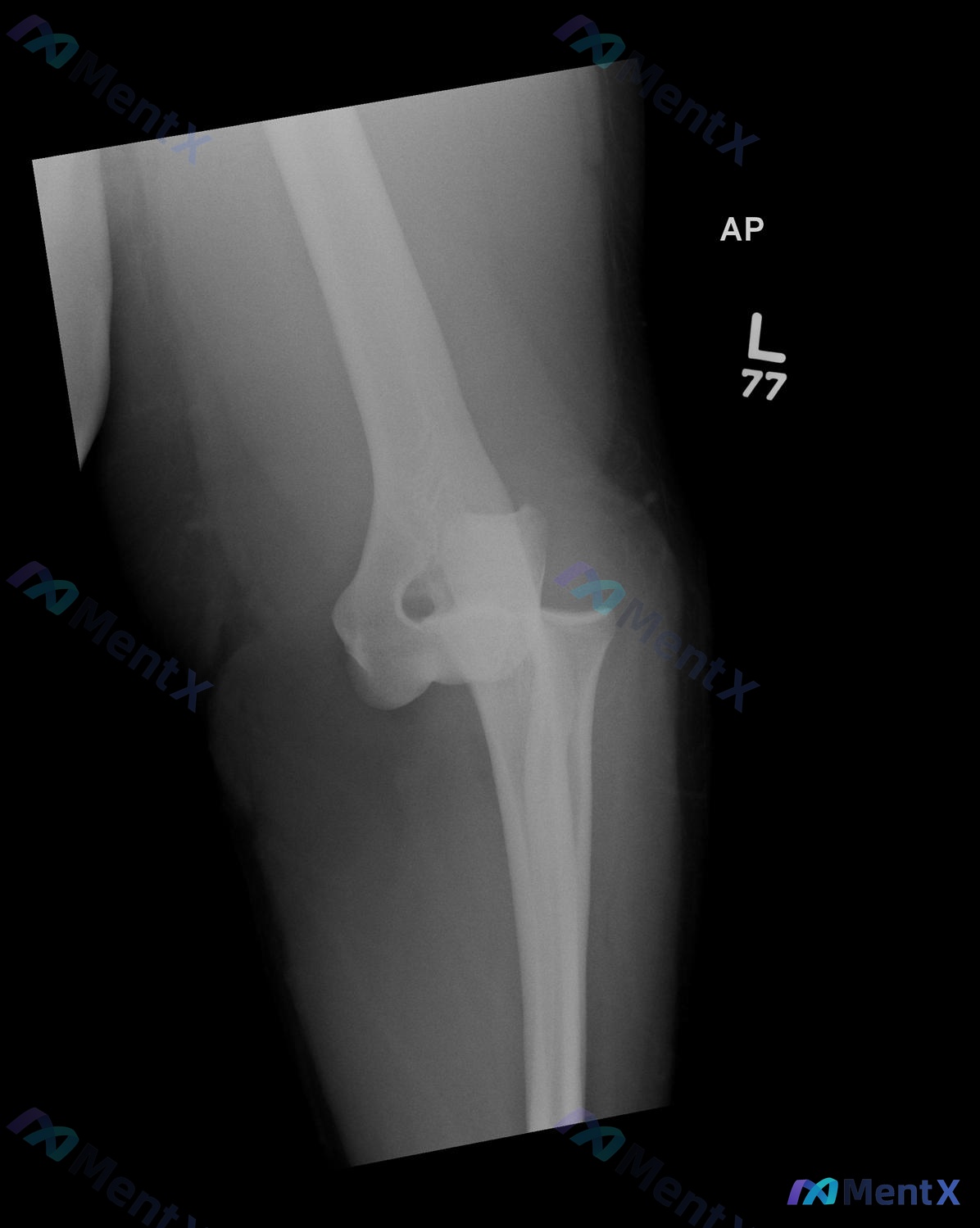 Post 2903 image 2