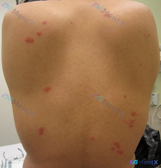 Post 141 image 1