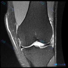 Post 38077 image 1