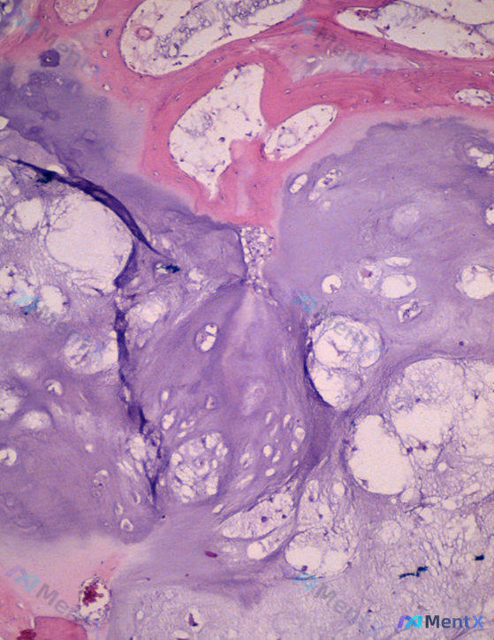 Post 2131 image 4