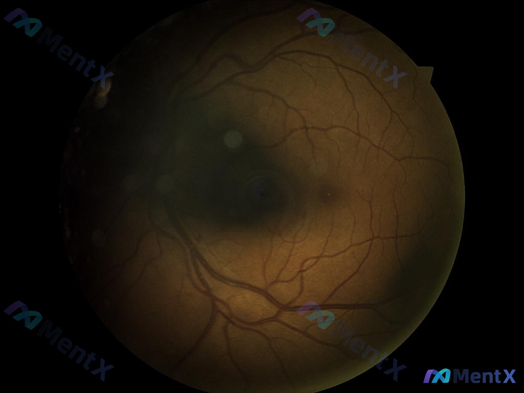 Post 1034 image 1