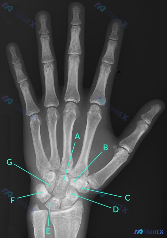 Post 136 image 1