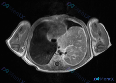 Post 1903 image 2