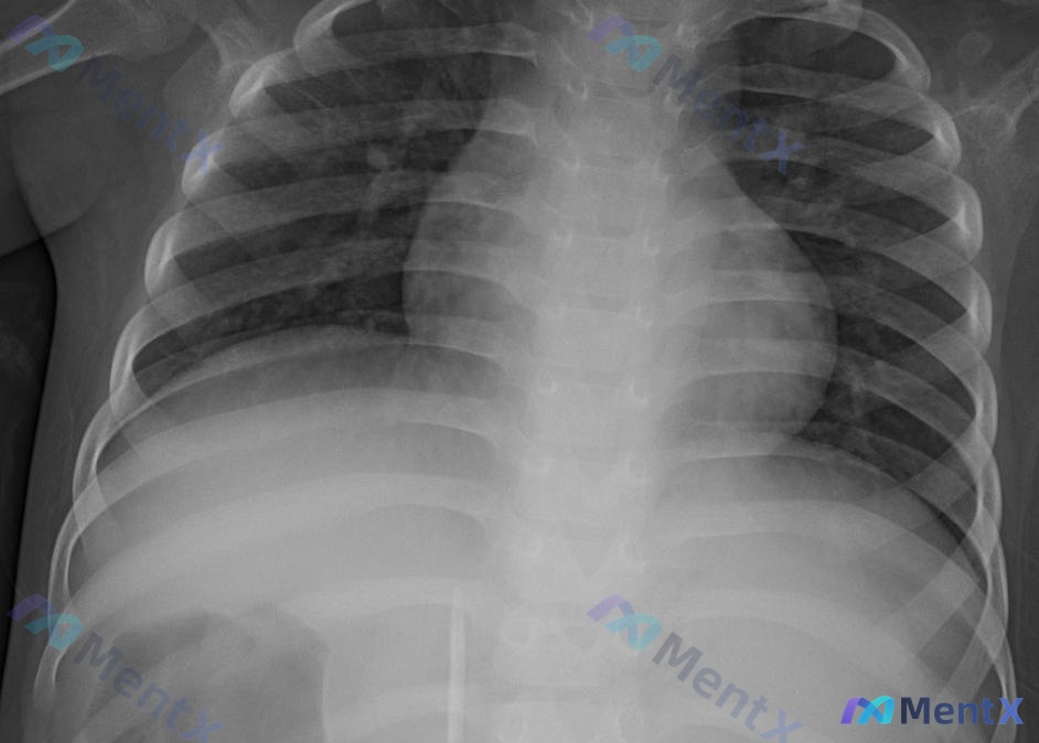 Post 1171 image 1