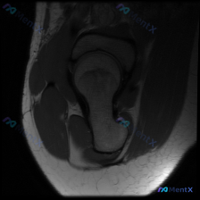 Post 43212 image 1